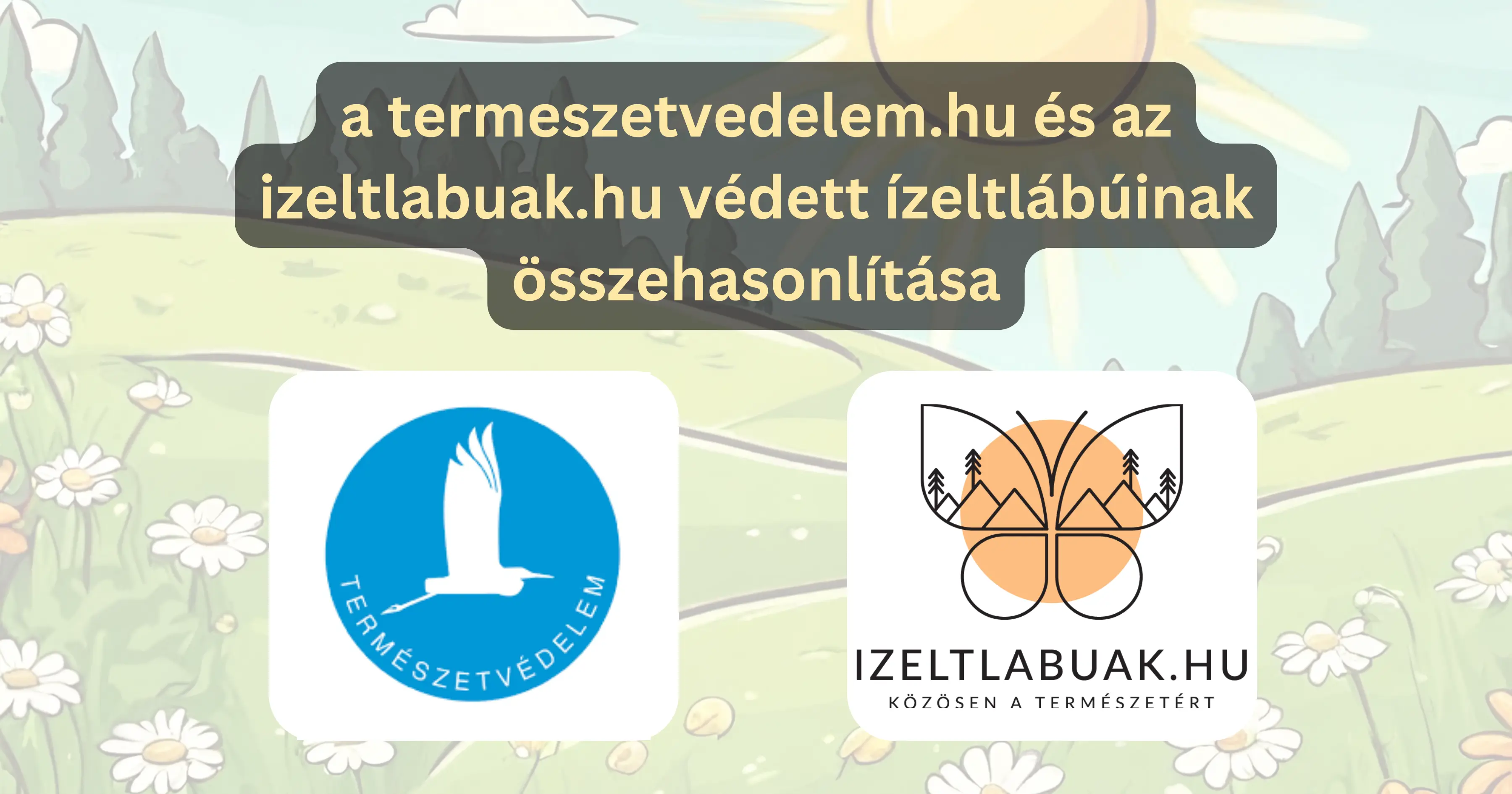 A termeszetvedelem.hu és az izeltlabuak.hu védett fajainak összehasonlítása