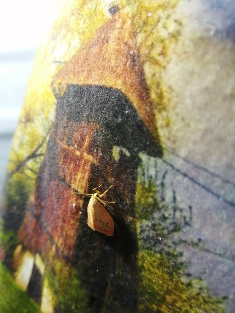 Miltochrista miniata - piros medvelepke