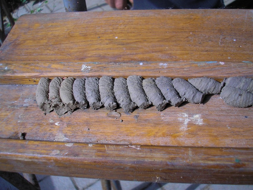 Sceliphron curvatum - barnalábú lopódarázs