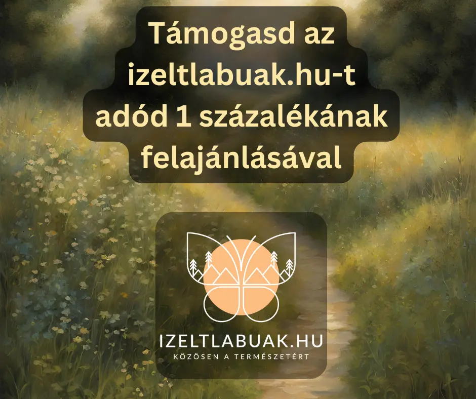 Adó 1 százalék felajánlás 2026-ban